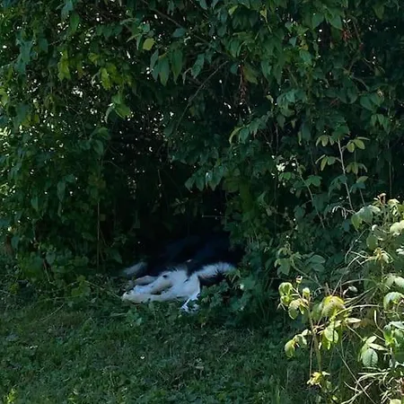 Prázdninový dům Maison Chaleureuse Au Pied De La Dent Du Chat